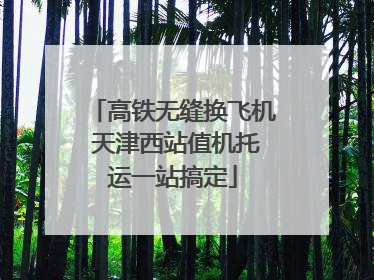 高铁无缝换飞机 天津西站值机托运一站搞定