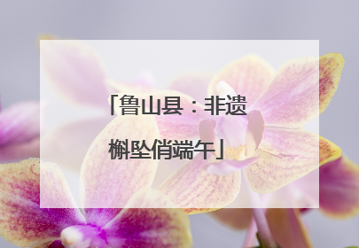 鲁山县：非遗槲坠俏端午