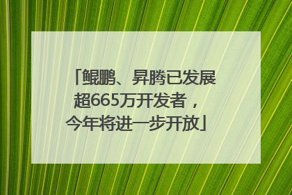 鲲鹏、昇腾已发展超665万开发者，今年将进一步开放
