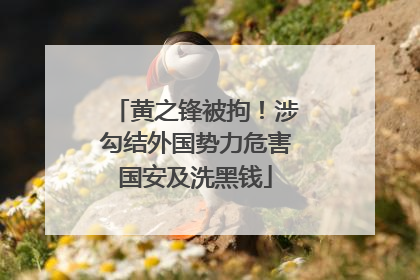 黄之锋被拘！涉勾结外国势力危害国安及洗黑钱