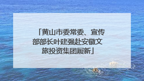 黄山市委常委、宣传部部长叶建强赴安徽文旅投资集团履新