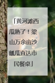 黄河滩西瓜熟了！梁山万余亩沙瓤瓜直达市民餐桌