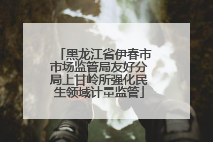 黑龙江省伊春市市场监管局友好分局上甘岭所强化民生领域计量监管