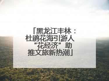 黑龙江丰林：杜鹃花海引游人 “花经济”助推文旅新热潮