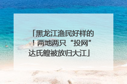 黑龙江渔民好样的！两地两只“投网”达氏鳇被放归大江