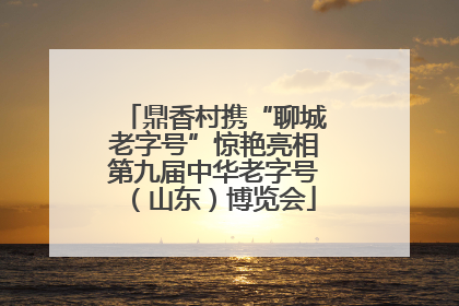鼎香村携“聊城老字号”惊艳亮相第九届中华老字号（山东）博览会