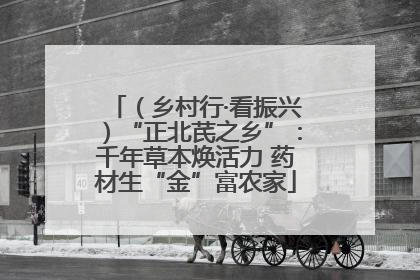 （乡村行·看振兴）“正北芪之乡”：千年草本焕活力 药材生“金”富农家