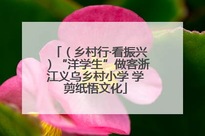 （乡村行·看振兴）“洋学生”做客浙江义乌乡村小学 学剪纸悟文化