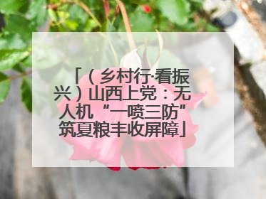 （乡村行·看振兴）山西上党：无人机“一喷三防”筑夏粮丰收屏障