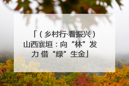 （乡村行·看振兴）山西襄垣：向“林”发力 借“绿”生金
