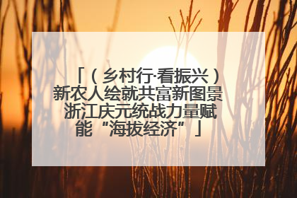 （乡村行·看振兴）新农人绘就共富新图景 浙江庆元统战力量赋能“海拔经济”