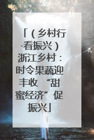 （乡村行·看振兴）浙江乡村：时令果蔬迎丰收 “甜蜜经济”促振兴