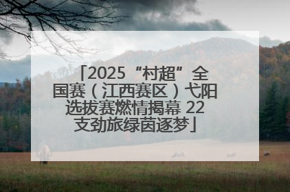 2025“村超”全国赛（江西赛区）弋阳选拔赛燃情揭幕 22支劲旅绿茵逐梦