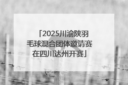 2025川渝陕羽毛球混合团体邀请赛在四川达州开赛