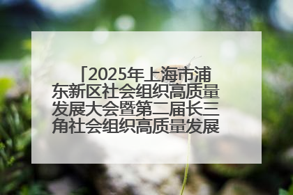 2025年上海市浦东新区社会组织高质量发展大会暨第二届长三角社会组织高质量发展峰会成功举办