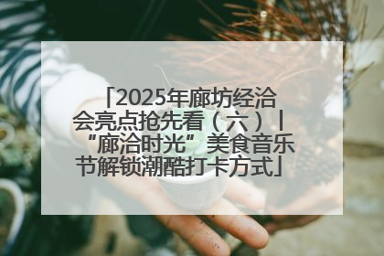 2025年廊坊经洽会亮点抢先看（六）丨“廊洽时光”美食音乐节解锁潮酷打卡方式