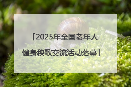 2025年全国老年人健身秧歌交流活动落幕