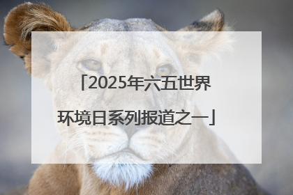 2025年六五世界环境日系列报道之一