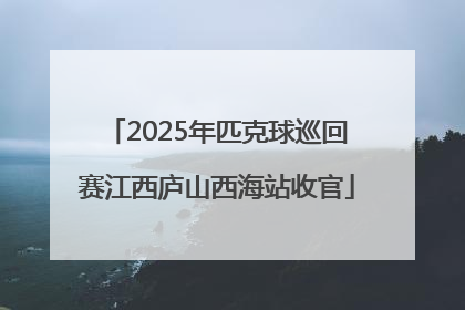 2025年匹克球巡回赛江西庐山西海站收官