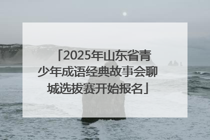 2025年山东省青少年成语经典故事会聊城选拔赛开始报名