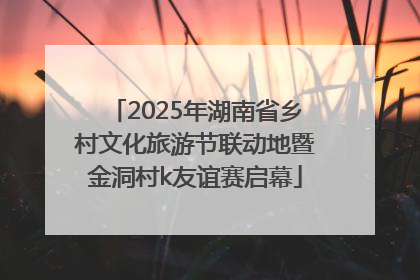 2025年湖南省乡村文化旅游节联动地暨金洞村k友谊赛启幕