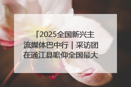 2025全国新兴主流媒体巴中行｜采访团在通江县瞻仰全国最大红军烈士陵园
