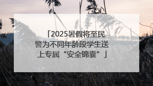 2025暑假将至民警为不同年龄段学生送上专属“安全锦囊”