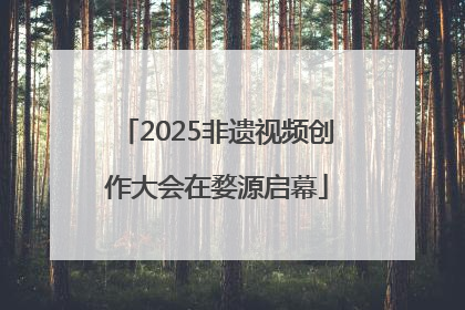 2025非遗视频创作大会在婺源启幕