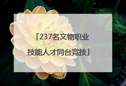 237名文物职业技能人才同台竞技