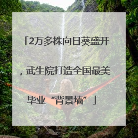 2万多株向日葵盛开，武生院打造全国最美毕业“背景墙”