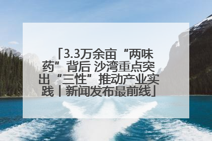 3.3万余亩“两味药”背后 沙湾重点突出“三性”推动产业实践丨新闻发布最前线