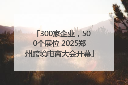 300家企业，500个展位 2025郑州跨境电商大会开幕