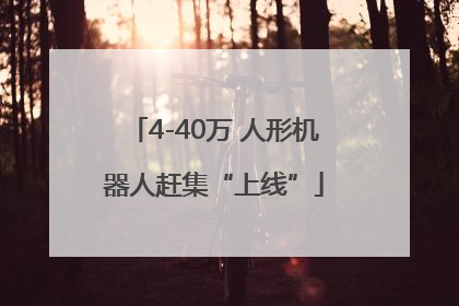 4-40万 人形机器人赶集“上线”