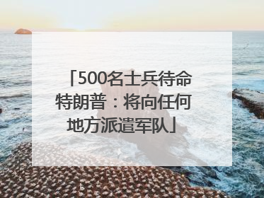 500名士兵待命 特朗普：将向任何地方派遣军队
