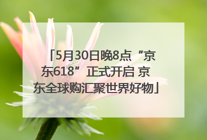 5月30日晚8点“京东618”正式开启 京东全球购汇聚世界好物