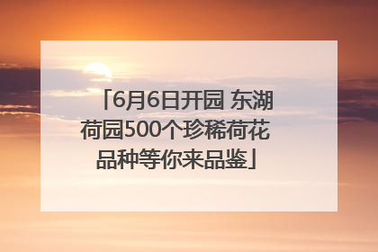 6月6日开园 东湖荷园500个珍稀荷花品种等你来品鉴