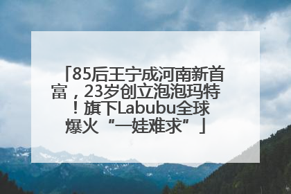 85后王宁成河南新首富，23岁创立泡泡玛特！旗下Labubu全球爆火“一娃难求”