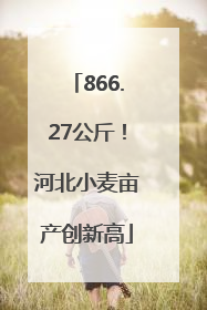 866.27公斤！河北小麦亩产创新高