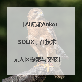 AI赋能Anker SOLIX，在技术无人区探索与突破